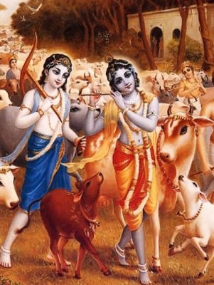 krishna-balram-psu360001683-small-original-imaejfhzgfxrmtta